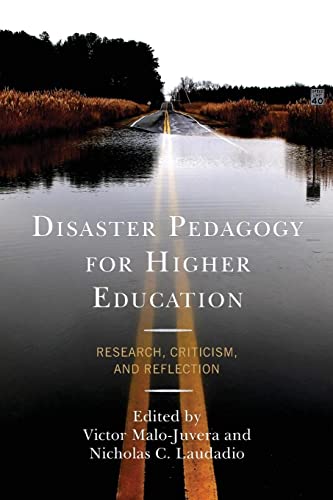 Disaster Pedagogy for Higher Education: Research, Criticism, and Reflection