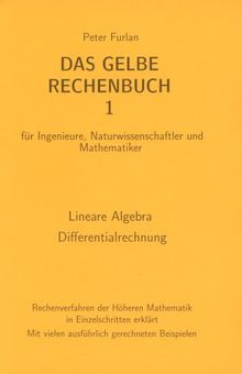 Das gelbe Rechenbuch. Für Ingenieure, Naturwissenschaftler und Mathematiker. Rechenverfahren der Höheren Mathematik in Einzelschritten erklärt: Das ... Naturwissenschaftler und Mathematiker