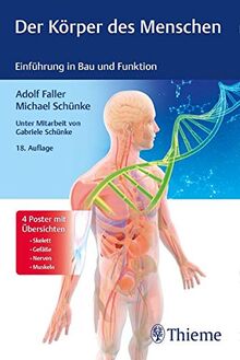 Der Körper des Menschen: Einführung in Bau und Funktion