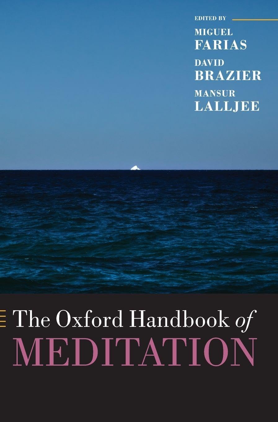 Miguel Farias Oxford Handbook Of Meditation (Oxford Library Of Psychology)