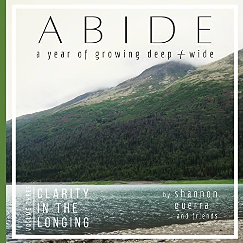 Clarity in the Longing: A Year of Growing Deep and Wide (Abide, Band 3)