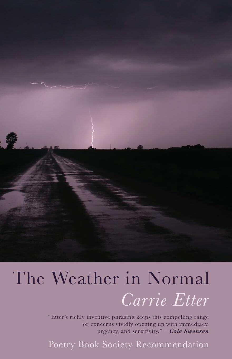 Carrie Etter The Weather In Normal