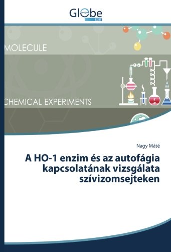 A HO-1 enzim és az autofágia kapcsolatának vizsgálata szívizomsejteken