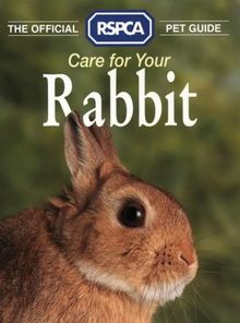Care for Your Rabbit (RSPCA Pet Guide)