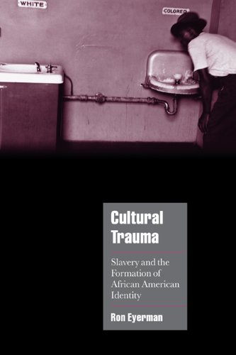 Cultural Trauma: Slavery and the Formation of African American Identity (Cambridge Cultural Social Studies)