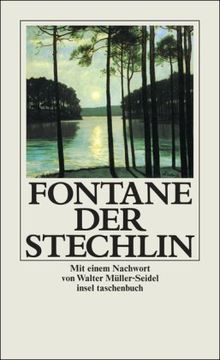 Der Stechlin (insel taschenbuch)