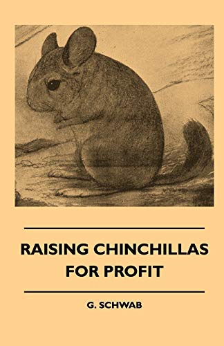 Raising Chinchillas For Profit