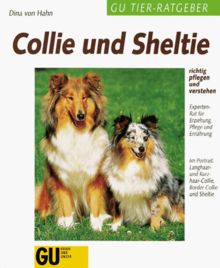 Collie und Sheltie richtig pflegen und verstehen