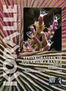 Steinkorallen im Aquarium - Band 2