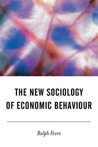 The New Sociology of Economic Behaviour (Bsa New Horizons in Sociology)