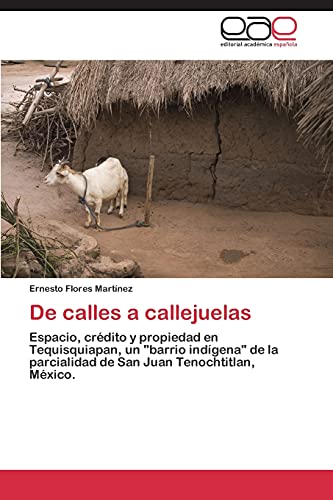 De calles a callejuelas: Espacio, crédito y propiedad en Tequisquiapan, un barrio indígena de la parcialidad de San Juan Tenochtitlan, México.