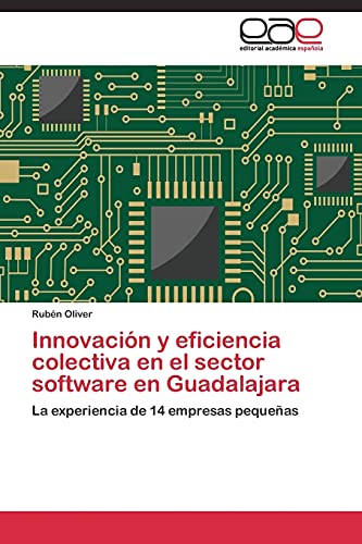 Innovación y eficiencia colectiva en el sector software en Guadalajara: La experiencia de 14 empresas pequeñas