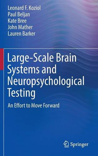 Large-Scale Brain Systems and Neuropsychological Testing: An Effort to Move Forward (Springerbriefs in Neuroscience)