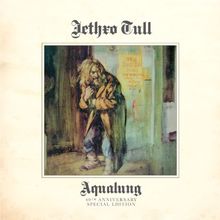 Aqualung (Steven Wilson Mix)