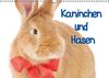 Kaninchen und Hasen (Wandkalender immerwährend DIN A3 quer)