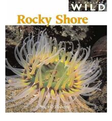 Rocky Shore (New Zealand Wild S.)