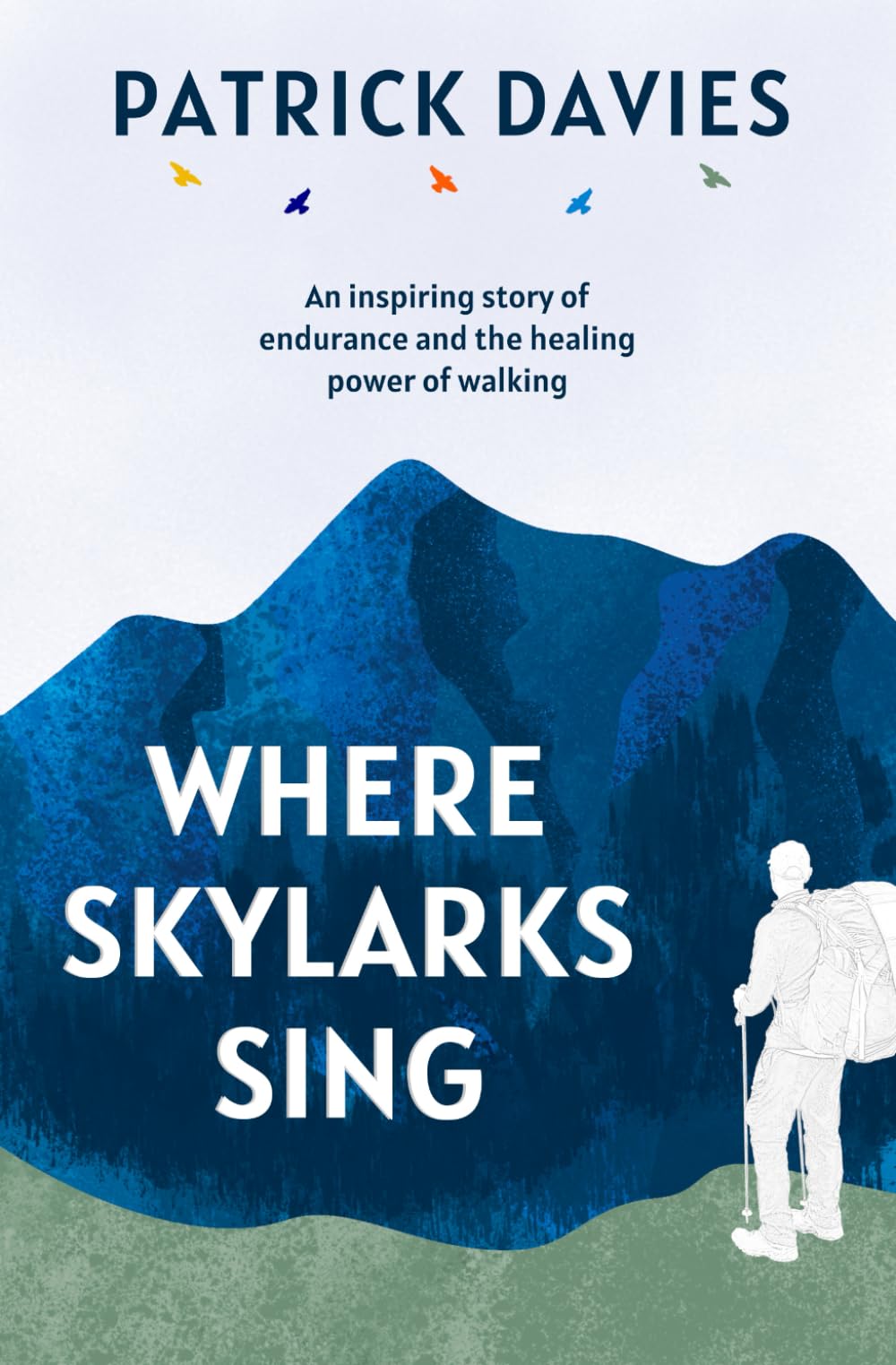 Where Skylarks Sing: An inspiring story of endurance and the healing power of walking