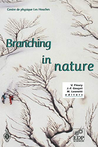 Branching in nature : dynamics and morphogenesis of branching structures, from cell to river networks : Les Houches School, october 11-15, 1999