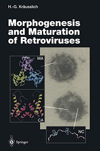 Morphogenesis and Maturation of Retroviruses (Current Topics in Microbiology and Immunology, 214, Band 214)