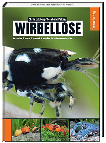 Chris Lukhaup Wirbellose - Garnelen, Krebse, Krabben & Schnecken Im Süßwasseraquarium