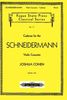Cadenza for the Schneidermann: Violin Concerto (Fugue State Press Classical, Band 17)