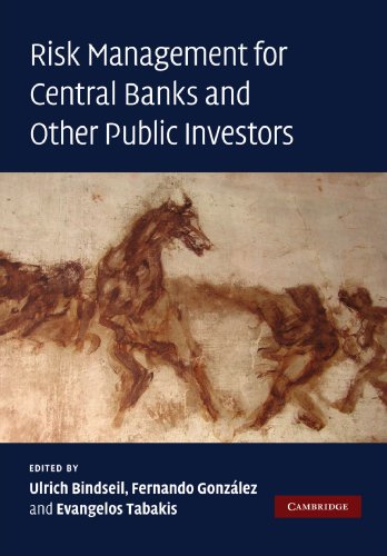 Risk Management for Central Banks and Other Public Investors