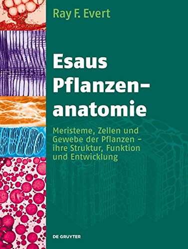 Esaus Pflanzenanatomie: Meristeme, Zellen und Gewebe der Pflanzen - ihre Struktur, Funktion und Entwicklung