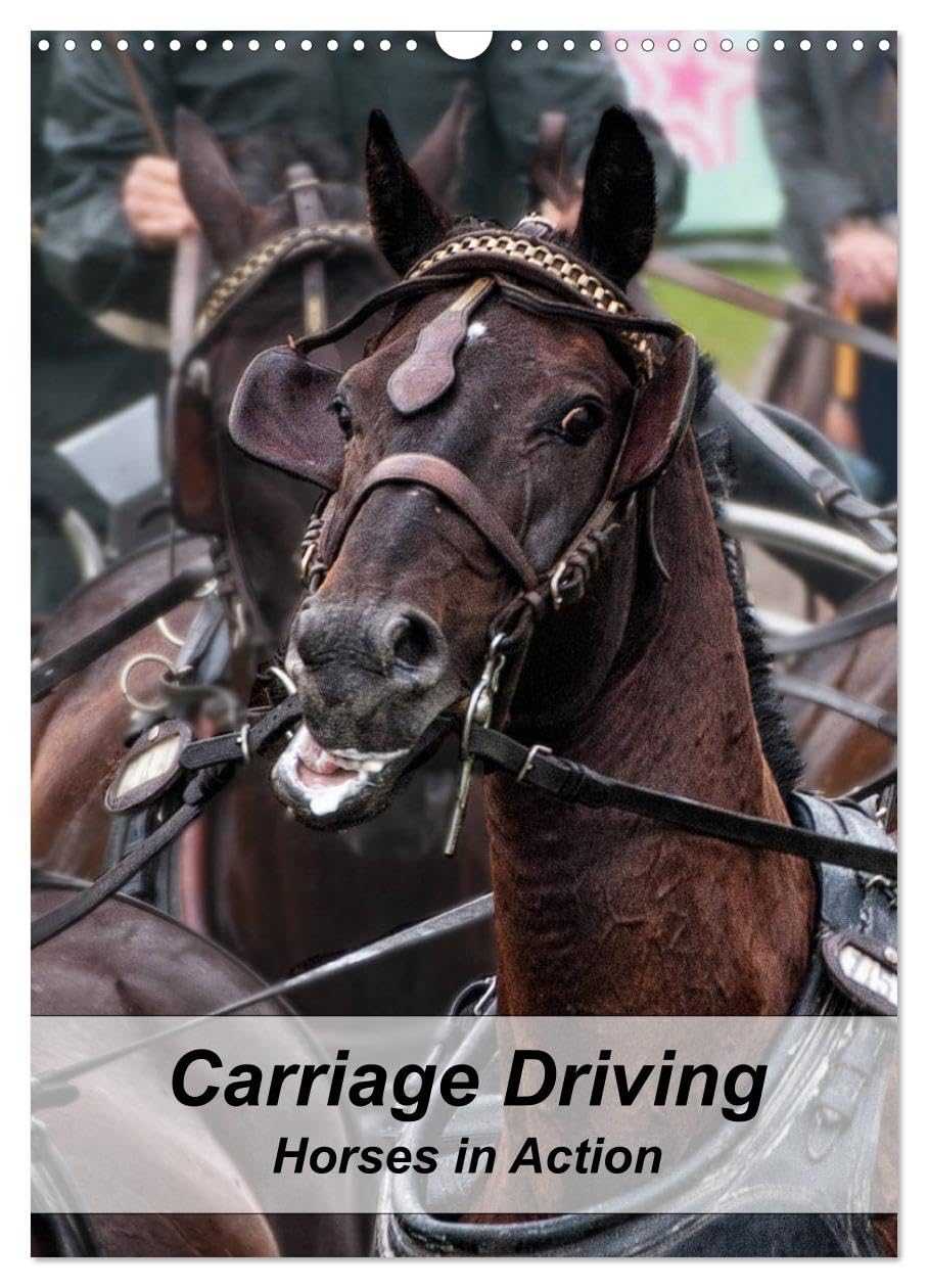 Carriage Driving - Horses in Action (Wall Calendar 2026 DIN A3 portrait), CALVENDO 12 Month Wall Calendar: Active horses in training for carriage driving sport.