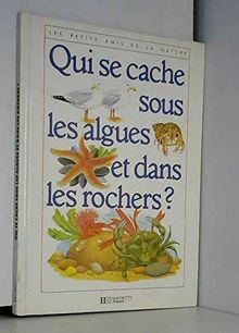 Qui se cache sous les algues et dans les rochers ? (Hjr Autr.Albums)