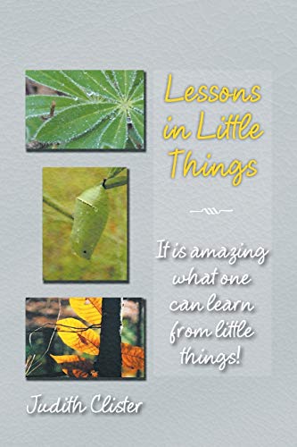 Lessons in Little Things: It is Amazing What One Can Learn from Little Things!