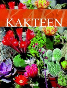 Kakteen