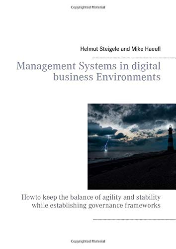 Management Systems in digital business Environments: Howto keep the balance of agility and stability while establishing governance frameworks
