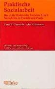 Praktische Sozialarbeit: Das 'Life Model' der sozialen Arbeit, Fortschritte in Theorie und Praxis