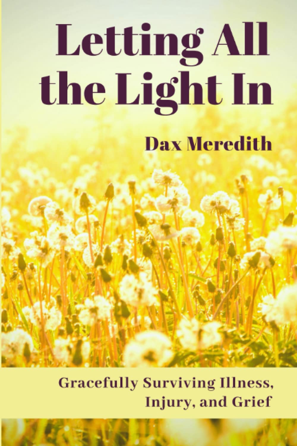 Letting All the Light In: Gracefully Surviving Illness, Injury, and Grief