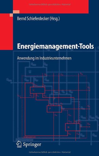 Energiemanagement-Tools: Anwendung im Industrieunternehmen (VDI-Buch)