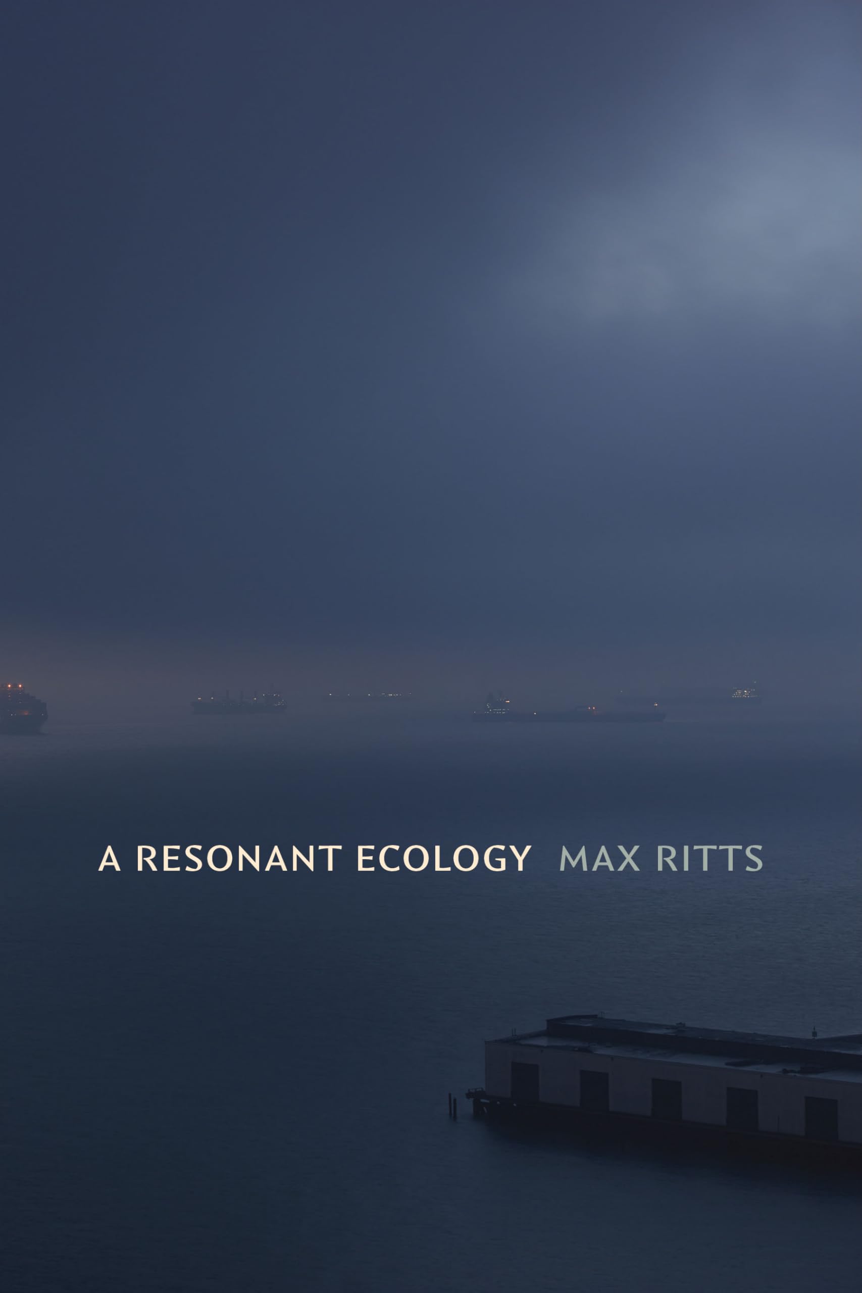 A Resonant Ecology (Sign, Storage, Transmission)