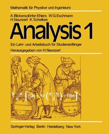 Analysis 1: Ein Lehr- und Arbeitsbuch für Studienanfänger (Mathematik für Physiker und Ingenieure)