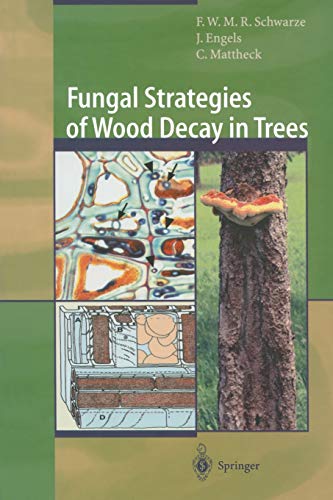 W. Linnard Fungal Strategies Of Wood Decay In Trees