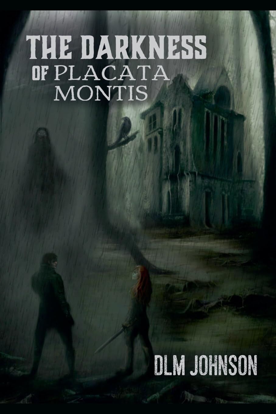 The Darkness of Placata Montis