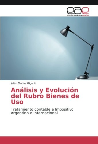 Análisis y Evolución del Rubro Bienes de Uso: Tratamiento contable e Impositivo Argentino e Internacional