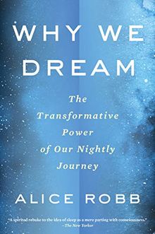 Why We Dream: The Transformative Power of Our Nightly Journey