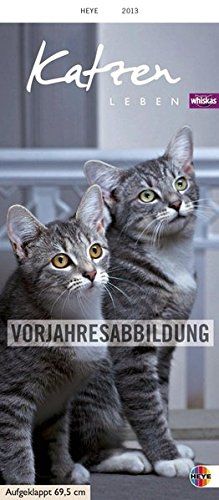 Whiskas Katzenleben 2014: Mit Katzengeschichten