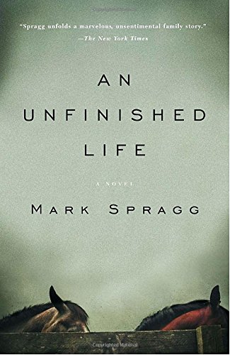 An Unfinished Life (Vintage Contemporaries)