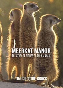 Meerkat Manor: Flower Of The Kalahari