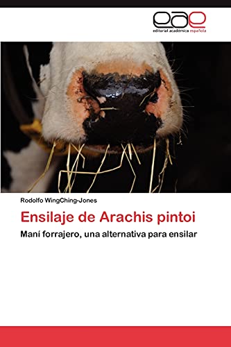 Ensilaje de Arachis pintoi: Maní forrajero, una alternativa para ensilar