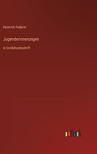 Jugenderinnerungen: in Großdruckschrift