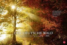 Der deutsche Wald - Ein literarischer Spaziergang - großer Foto-Wandkalender 2021 mit Zitaten deutscher Klassiker - Monatskalendarium - Format 58 x 39 cm