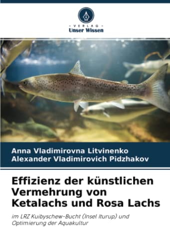 Effizienz der künstlichen Vermehrung von Ketalachs und Rosa Lachs: im LRZ Kuibyschew-Bucht (Insel Iturup) und Optimierung der Aquakultur