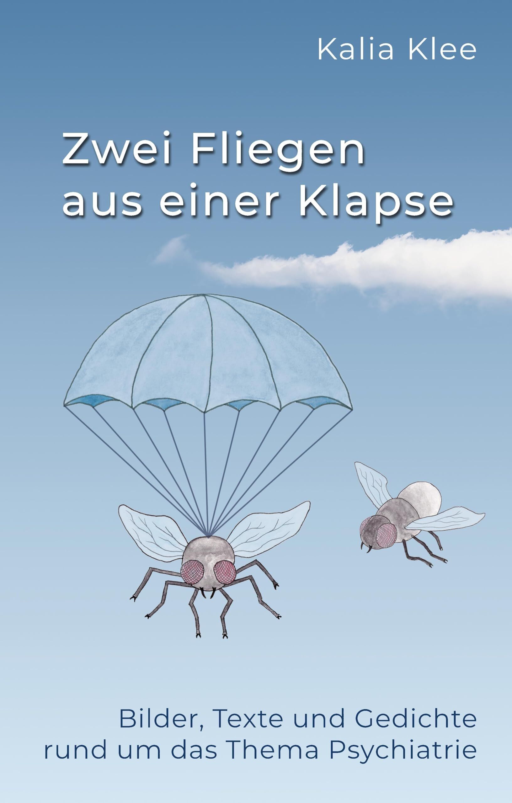 Zwei Fliegen aus einer Klapse