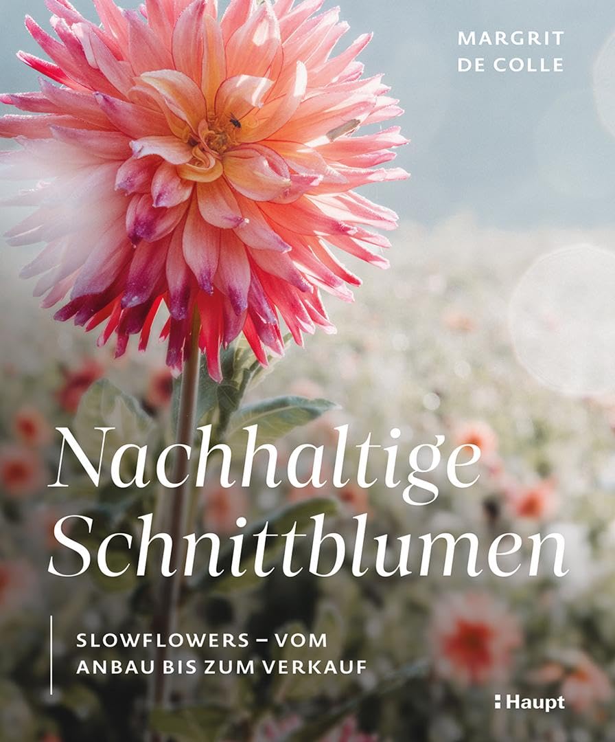 Nachhaltige Schnittblumen: Slowflowers – vom Anbau bis zum Verkauf
